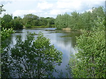 TQ6960 : Reed Pond, Leybourne Lakes Country Park by Marathon