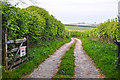 West Somerset : Exmoor - Farm Track