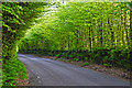 West Somerset : Exmoor - Mill Lane