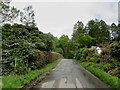 The Road at Sallochy