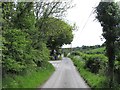 Approaching a junction on the Carrickgallogly Road