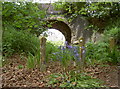 Bluebells and the bridge