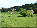 Fields near Seale