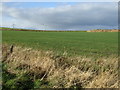 Farmland and wind turbines