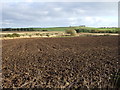 Farmland, Middle Ardo