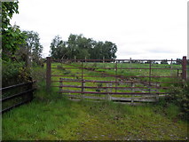 H5170 : Rusty gate, Lisboy by Kenneth  Allen