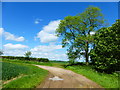 Footpath bends around field corner