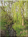 A minor tributary of the River Colne