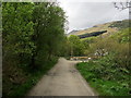 West Highland Way North of Rowardennan (1)