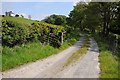 Track and bridleway below Pantgaseg