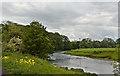 A bend in the River Ribble at Fulshaw Wood