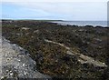 Coastline, Crooks Ness, Stronsay, Orkney