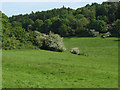 Fields near Seale