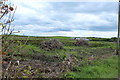 NW9763 : Wetland near Galdenoch by Billy McCrorie