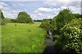 The View From Stifford Bridge