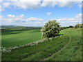 SU2178 : Path and fields near Chiseldon by Gareth James