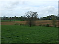 Farmland off The Common