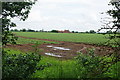 Potato field near North Muskham