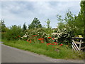 TF7302 : Roadside flowers in Eastmoor near Oxborough by Richard Humphrey
