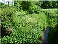 Stream seen from Bethersden Road