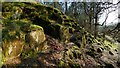 Igneous outcrops beside forestry track