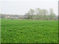 Farmland northeast of Moat Farm Cottages