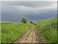 Diverted bridleway to Wadworth