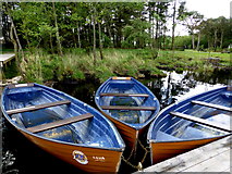 H5775 : Boats moored at Loughmacrory by Kenneth  Allen