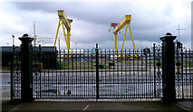 J3575 : Cranes and gates, Belfast by Rossographer