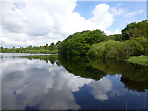 H5776 : Reflections, Loughmacrory Lough by Kenneth  Allen