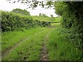 Track near Lower Allerton