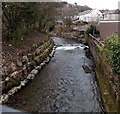 White water on the Upper Clydach River, Pontardawe