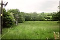 Field by the Bidwell Brook