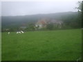 Grazing near Curbar