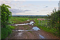 Mid Devon : Grassy Field