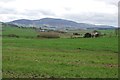 The view towards Thankerton and Tinto Hill