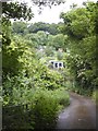 Path through Lawrence Street Allotments