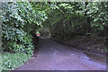 North Devon : Country Lane