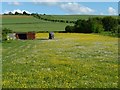 Paddock with buttercups, south-east of The Clays