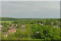 Houses and trees on edge of Welwyn Garden City