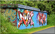 J3470 : Graffiti, Lagan towpath, Stranmillis, Belfast (May 2014) by Albert Bridge