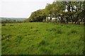 Farmland opposite the Mount