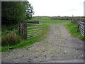 Gate in to pasture fields beyond