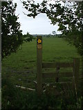NY0840 : Footpath to Allerby by Matthew Hatton