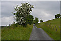 Road climbing away from Cwm Brennig