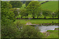 Ford across the Afon Teifi