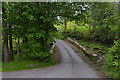 Bridge over the Nant Digonest