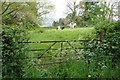 SN6425 : Cattle near Brynwgan by Philip Halling