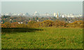 SP0476 : View north-northeast to central Birmingham from Wast Hill by Robin Stott