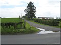 Estate road leading to Airnlee